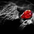 Due Diligence – Mining for a Precious Stone